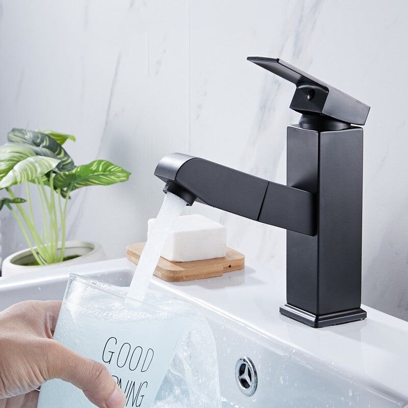 Kitchen Faucet Single Hole Pull Out