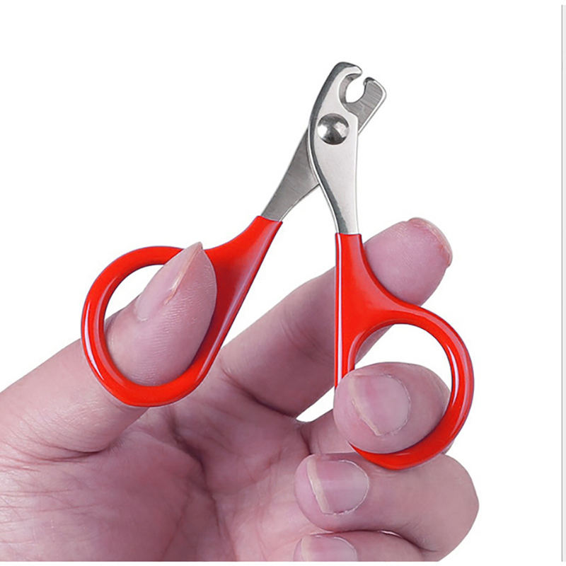 Stainless Steel Pet Scissors